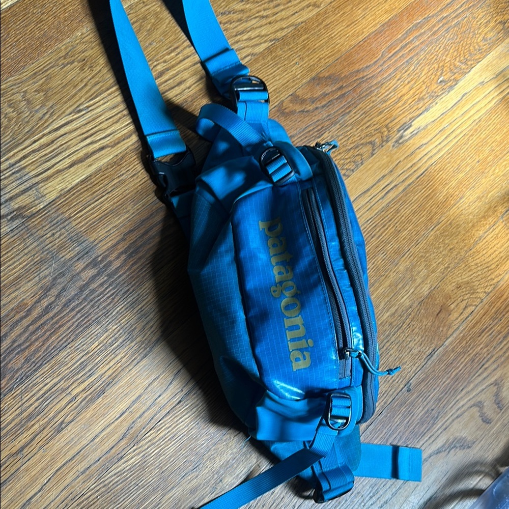 Patagonia Blue Belt Bag with Adjustable Straps
